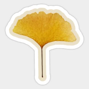 Ginko Sticker